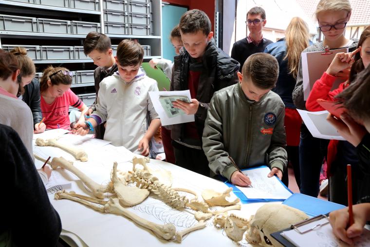 atelier anthropologie groupe scolaire